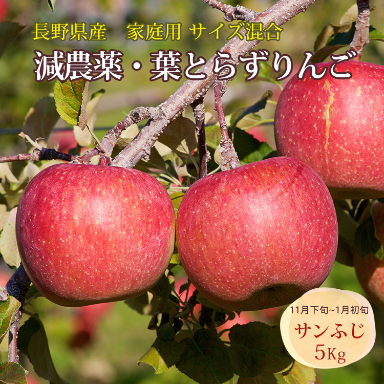 りんご 葉とらずりんご 家庭用 サイズ混合 サンふじ 無袋ふじ 減農薬 5Kg 樹上完熟 長野県産 葉取らず 信州りんご リンゴ 林檎