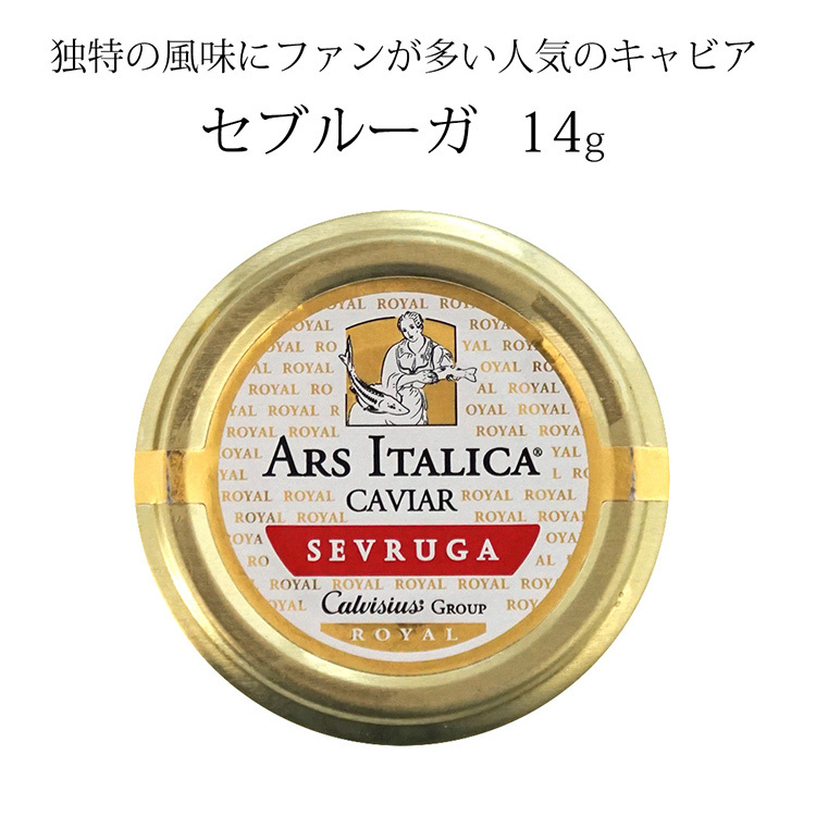 セブルーガ