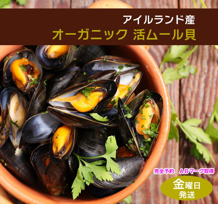 専用ページ　ムール貝6kgです。 佐々木友彦さんのムール貝2年物［6kg 加熱用］【送料込】 - 三陸
