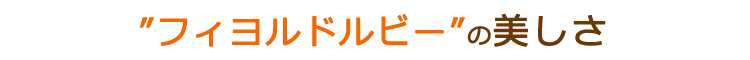 フィヨルドルビーの美しさ