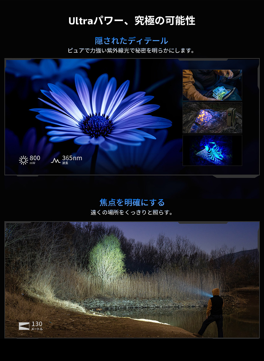 LED ライト 懐中電灯 軽量 アニサキス ブラックライト UVライト 紫外線