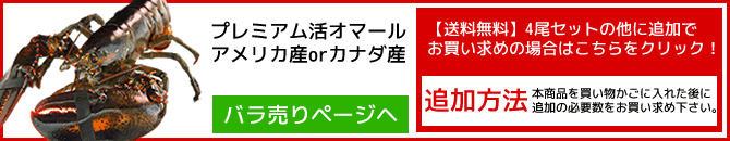 送料無料活オマール海老4尾セットページへ