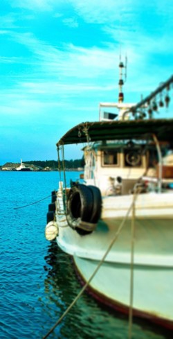 商品のお届けについては海況に左右されます