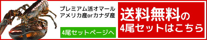 送料無料活オマール海老4尾セットページへ