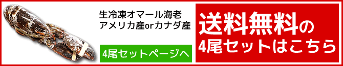 送料無料生冷凍オマール海老4尾セットのページヘ