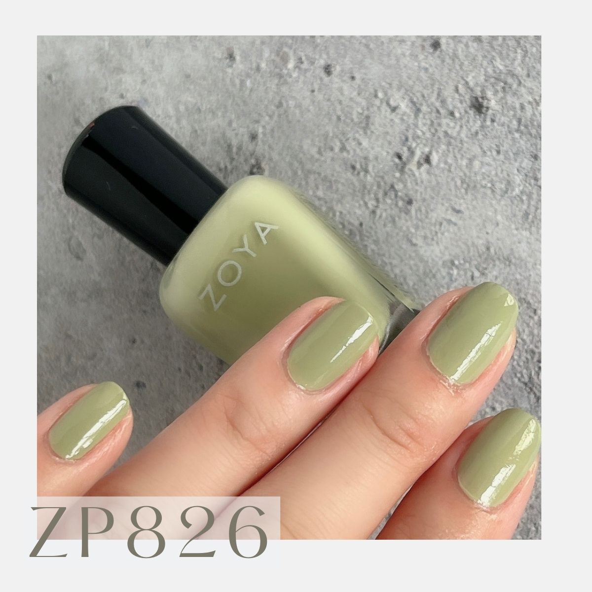 ブラシプレゼント Zoya ネイル 人気色 トップ3 Zp905 Zp706 Zp6 ベージュ ゴールド グリーン くすみ ピンク グレイッシュ 自然派 マニキュア ゾーヤ Zoya Top10 マニキュア通販 大人ネイル 通販 6pcs ゾディアックタイガーテーママニキュアデコレーションガール ブラシプレゼント Zoya ネイル 人気色 トップ3 Zp905 Zp706 Zp6 ベージュ ゴールド グリーン くすみ ピンク グレイッシュ 自然派 マニキュア ゾーヤ Zoya Top10 マニキュア通販 大人ネイル 通販 6pcs ゾディアックタイガーテーママニキュアデコレーションガール