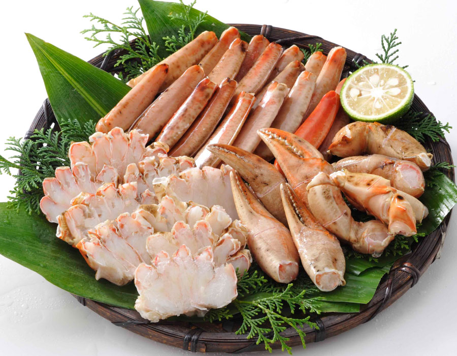 四国太平洋高知県産稀少平家蟹（蜘蛛蟹）サムライ蟹＆タコノマクラ