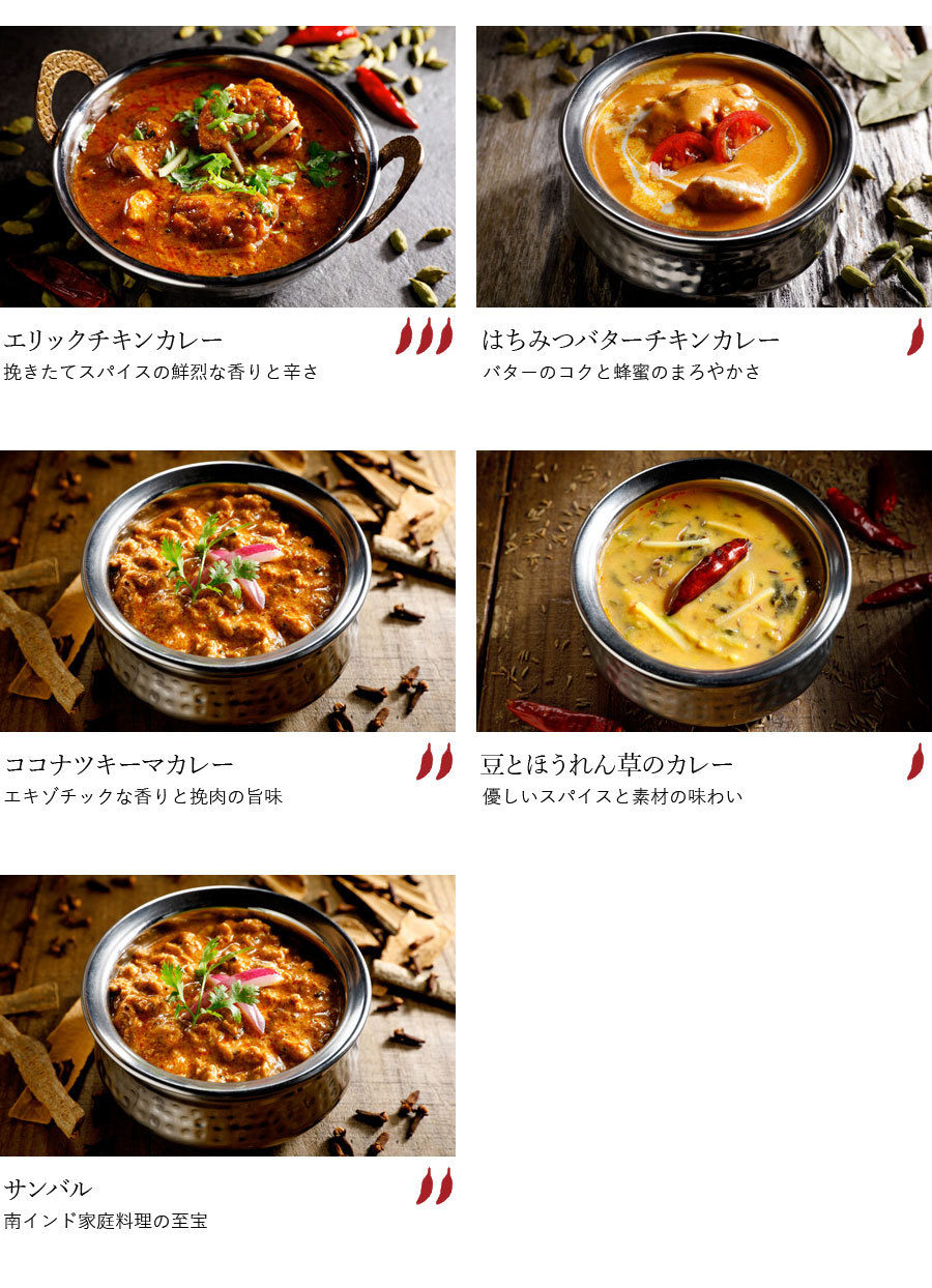 南インドカレー5種セット エリックサウス 送料無料 チキンカレー