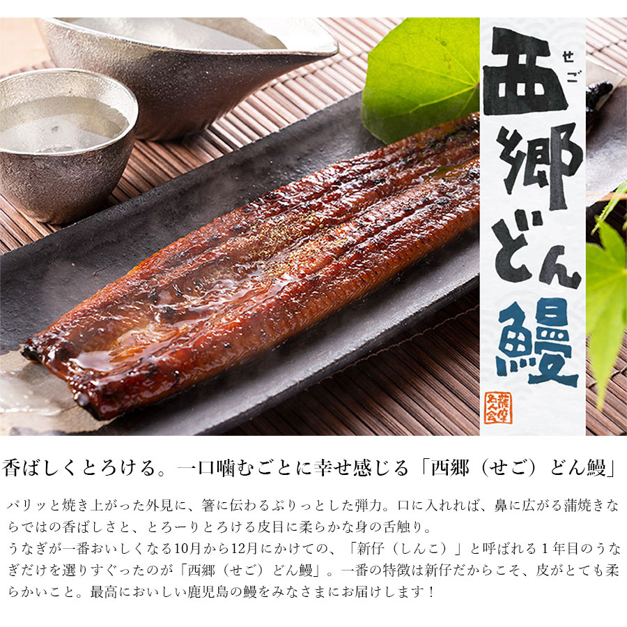 西郷どん鰻セット せごどんうなぎ 鹿児島県産 うなぎ ウナギ 蒲焼 丼