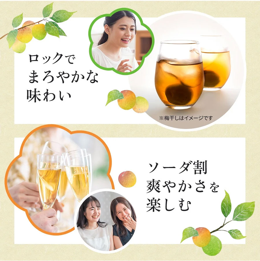 紀州高田果樹園 梅酒 2011年製 専用箱付き 720ml 紀州高田果樹園 梅酒 2011年製 専用箱付き 720ml その他