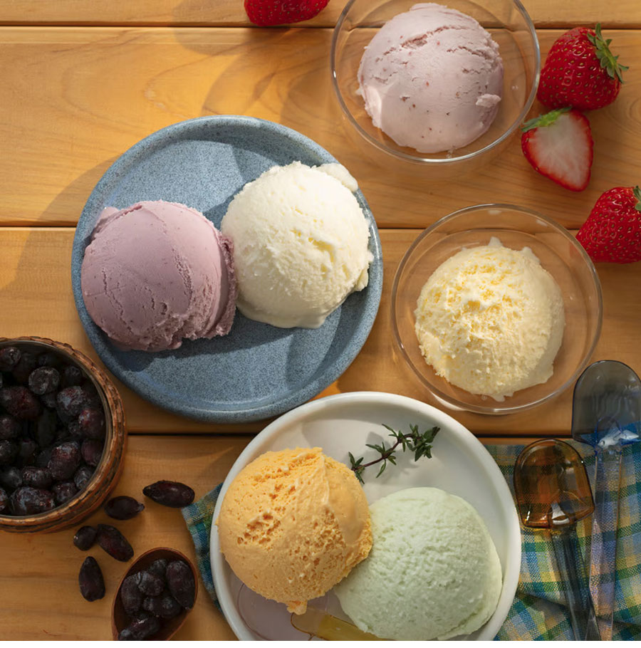 乳蔵北海道アイスクリーム6種6個 スイーツ デザート ハスカップ メロン