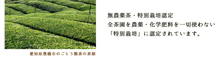 無農薬茶・特別栽培認定　全茶園を農薬・化学肥料を一切使わない「特別栽培」に認定されています。
