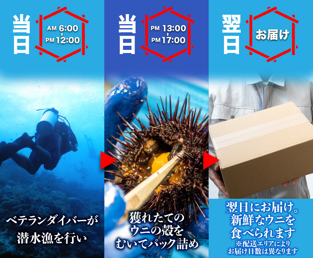 12/9限定品 青森県大間産 無添加ウニ 100g入×4パックセット 青森県大間産 無添加ウニ 100g入×4パックセット