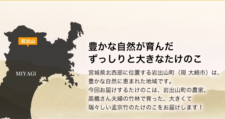 よっちゃん農場 岩出山 宮城県 たけのこ 農家直送 朝採れ 朝掘り