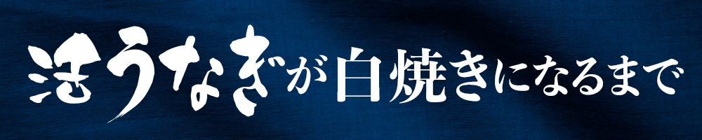 鰻 うな丼 杉山商店 石巻 通販