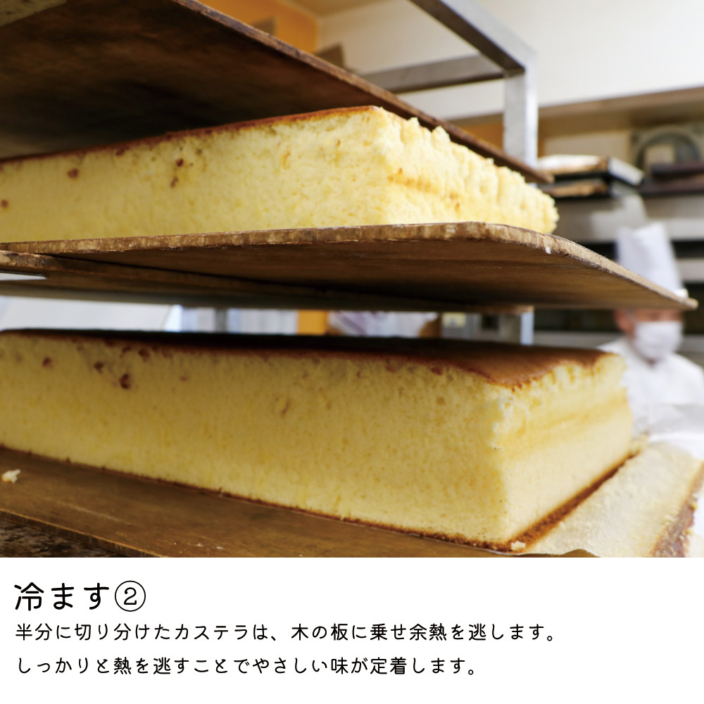 【条件付き送料無料】やさしい甘さのしっとりふんわり長崎カステラ(約500g×2本）贈答 ギフト 母の日 父の日