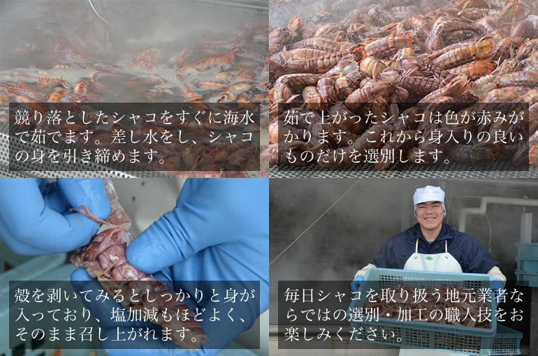シャコ