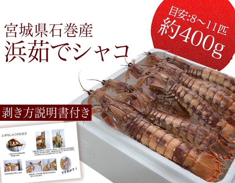 シャコ