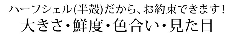 ハーフシェル　まるたか水産