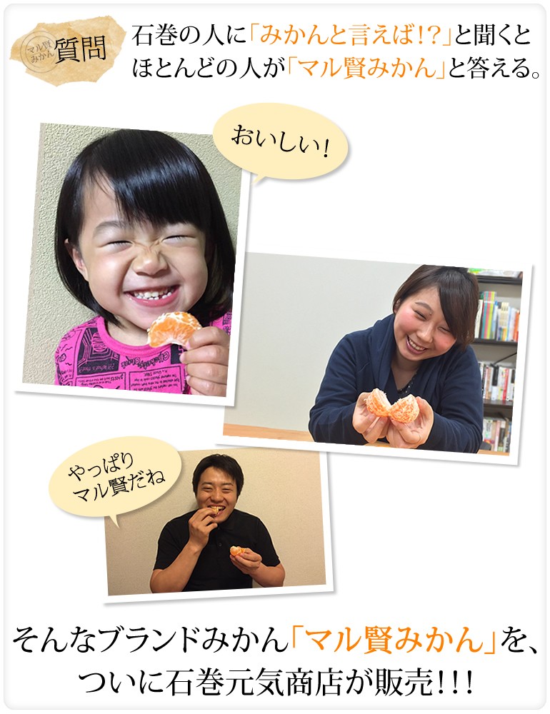 マル賢みかん