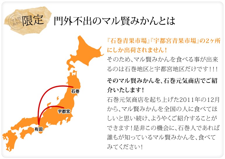 マル賢みかん