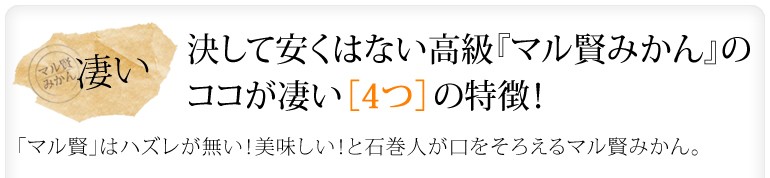 マル賢みかん