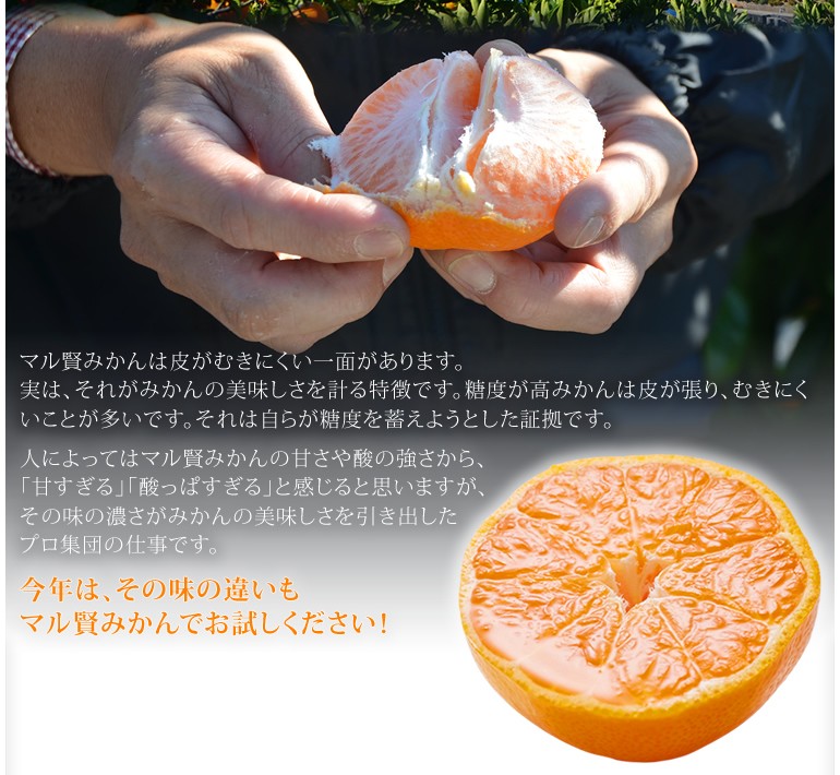 マル賢みかん