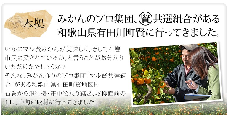 マル賢みかん