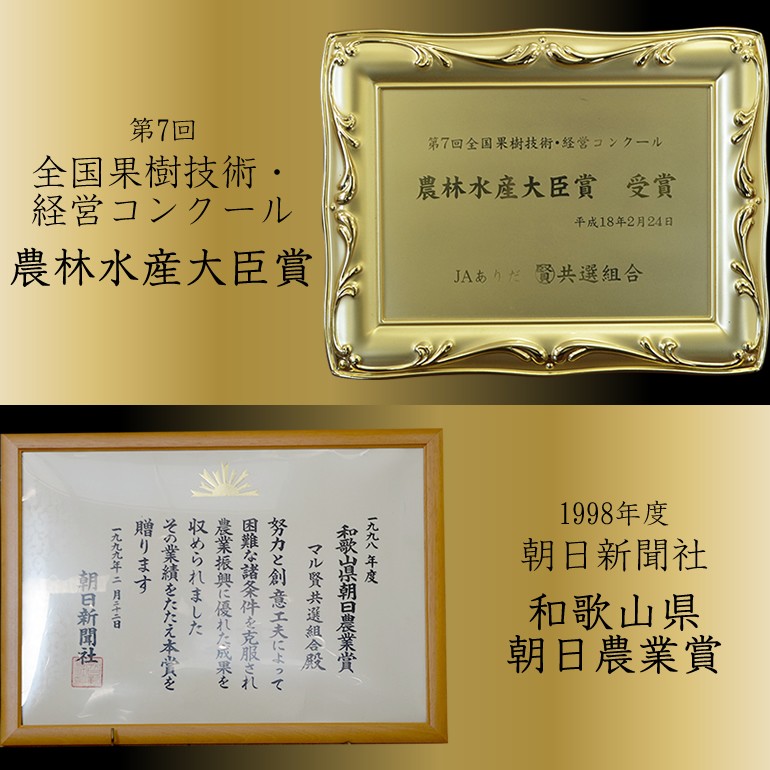 マル賢みかん