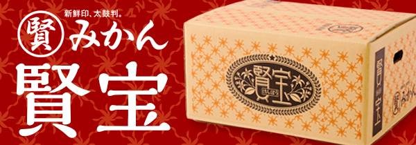 マルケンみかん 青秀/秀品（6.8kg）S、M、L（サイズにより価格が異なり