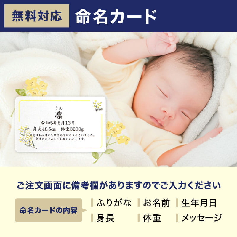 お中元 おつまみ ギフト 2026 夏ギフト おつまみセット プレゼント お中元ギフト 魚 男性 海鮮 珍味 ビール 高級 食べ物 誕生日 父の日 柔らかおつまみ7選 | 古伊万里浪漫 | 15