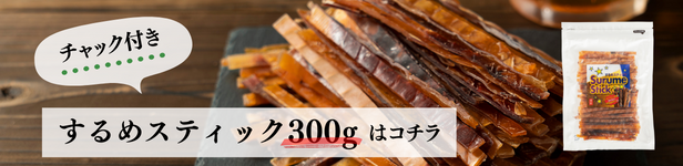 するめスティック