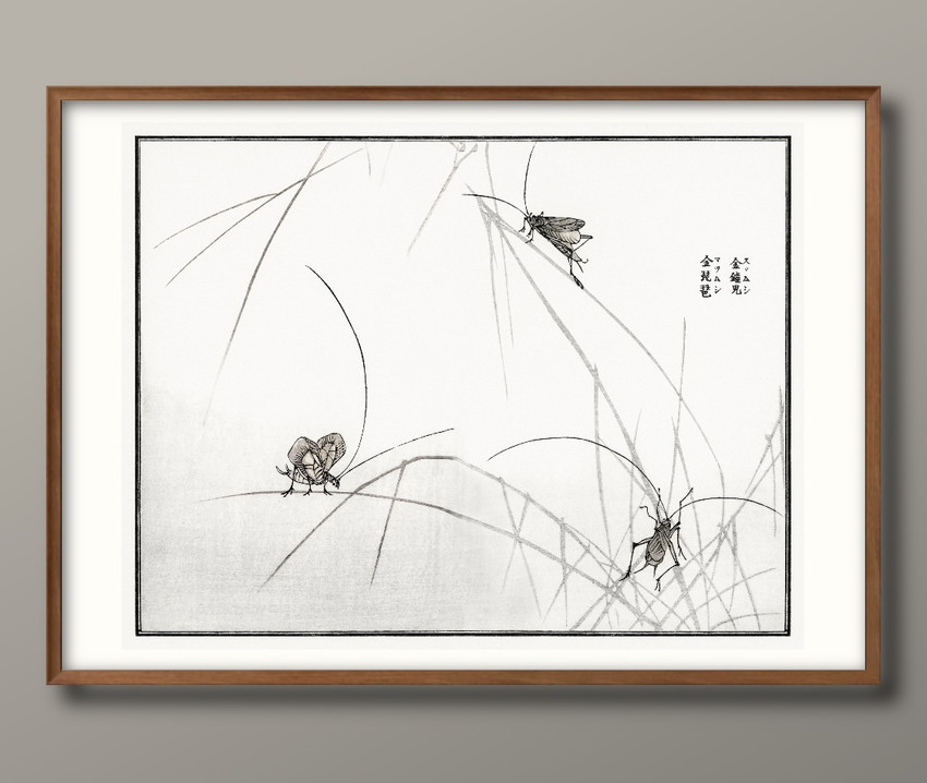 日本製 ポスター 10845 森本東子 鈴虫 マツムシ バッタ 絵画