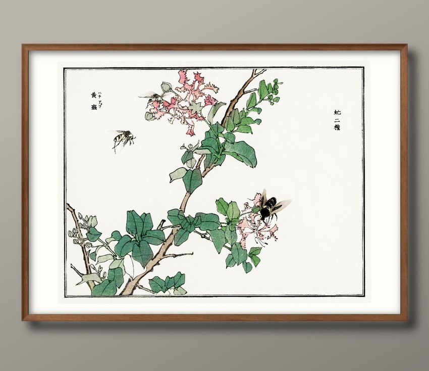 ポスター アート 絵画 額縁 フレーム 10846森本東 …