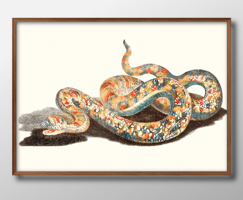 絵画　お値引き中 グラフィックアートピクチャー」鳳凰絵画風額付きで安価 気運