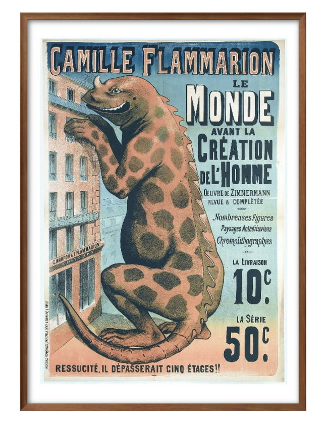 アート ポスター おしゃれ 絵画 インテリア 9832 Camille Flammarion ビンテージ A3サイズ 北欧 イラスト マット紙 管理ID: