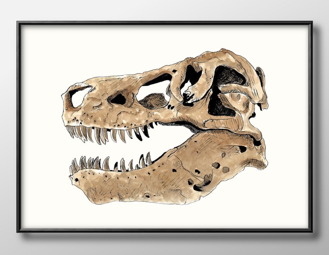 Yahoo! Yahoo!ショッピング(ヤフー ショッピング)T-REX ダイナソー 恐竜 A3 サイズ ポスター アート おしゃれ 絵画 インテリア 北欧 イラスト マット紙 額 フレーム