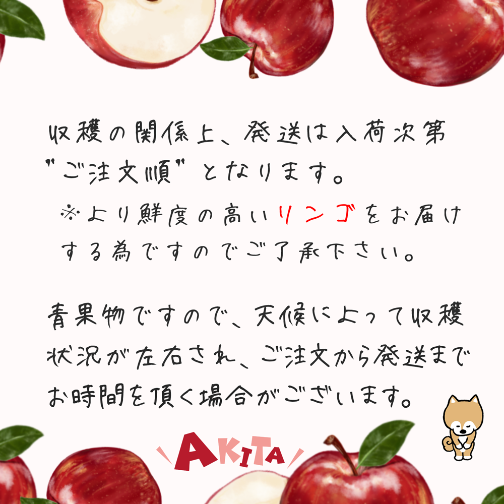 秋田県産 りんご サン ふじ 10kg Lサイズ 32玉〜36玉 出荷期間:11月