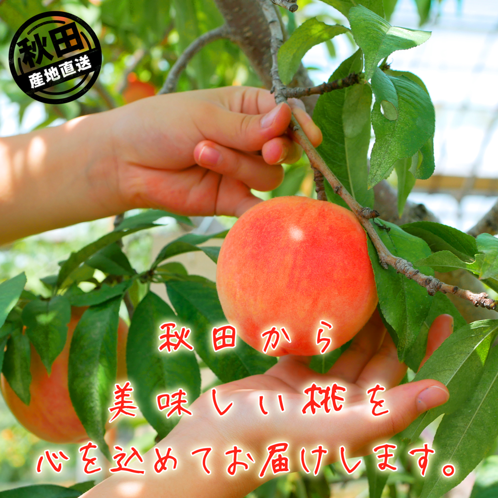 秋田県産北限の桃
