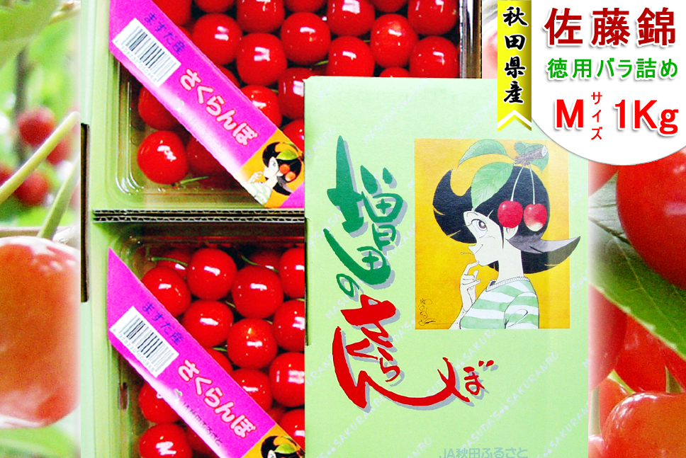 さくらんぼ 佐藤錦 秋田県 増田産 1kg Mサイズ バラ詰め JA秋田