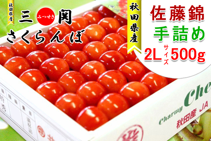 さくらんぼ 佐藤錦 秋田県三関産 500g 2L手詰め JAこまち お届け日指定不可・発送は6月中旬から