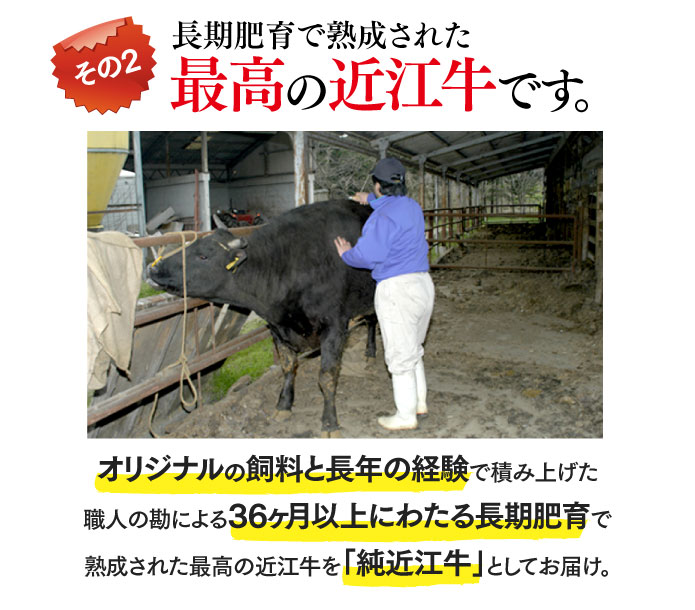 長期肥育で熟成された最高の近江牛です。オリジナルの飼料と長年の経験で積み上げた職人の勘による36ヶ月以上にわたる長期肥育で熟成された最高の近江牛を「純近江牛」としてお届け。