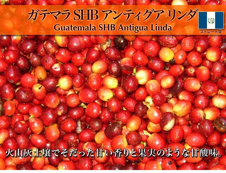 自家焙煎ストレートコーヒー豆【ガテマラ SHB アンティグア リンダ】