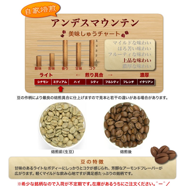 自家焙煎ストレートコーヒー豆【アンデスマウンテン】