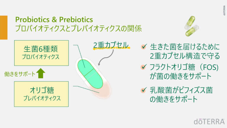 doTERRA ドテラ サプリメント PBアシストプラス 30粒 60億個以上生菌 乳酸菌 ビフィズス菌 SUPPLIMENT 2重カプセル構造 菌活  : do60213152 : ナチュラルポット - 通販 - Yahoo!ショッピング