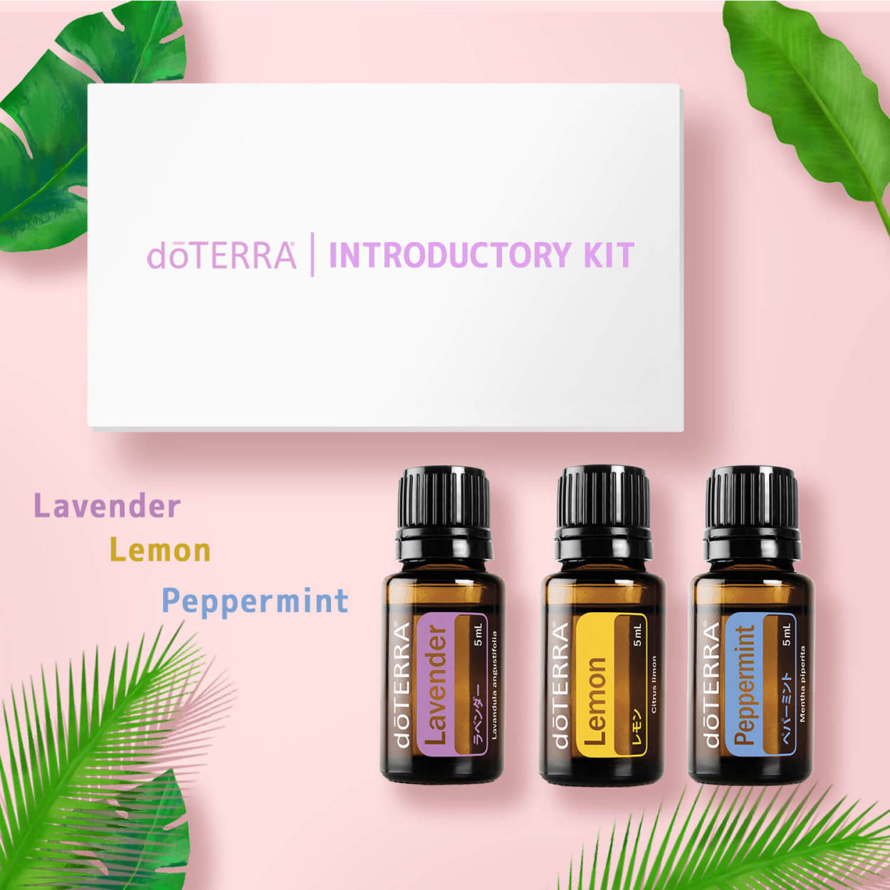 ドテラdoTERRA ドテラ イントロキット 5 ml×3本 アロマオイル