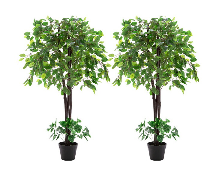 専用出品　2点まとめ売りラグマット観葉植物インテリア イケヒコ い草ラグ 約2畳 国産 おしゃれ ランクス 総色 191