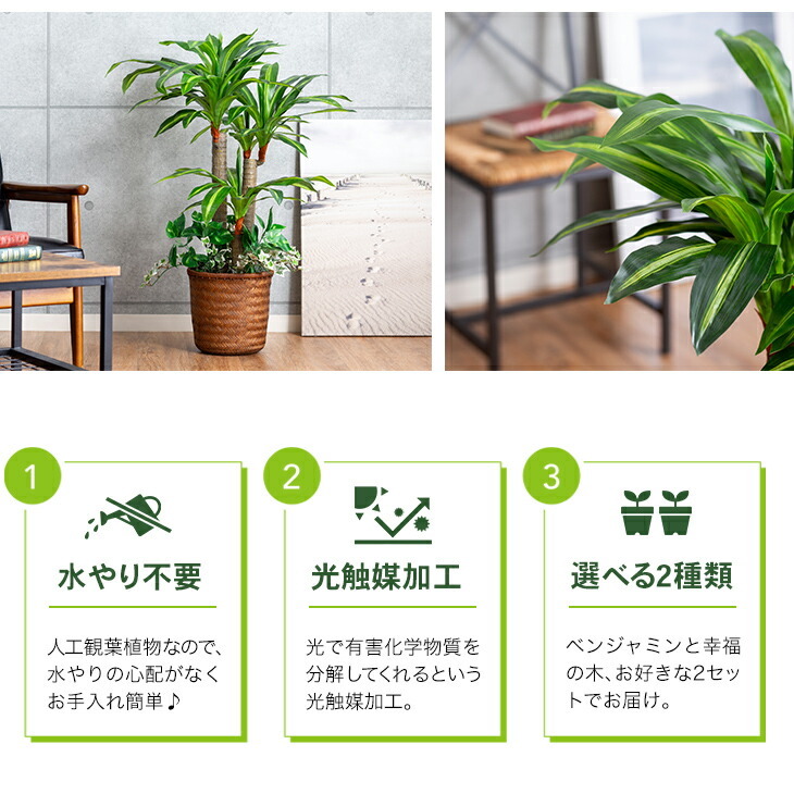 光触媒 人工観葉植物 フェイクグリーン インテリアグリーン 2点セット