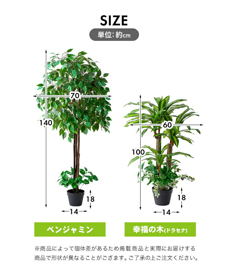 魅了 □グリーンクロス 人工樹木 人工観葉植物 ベンジャミン