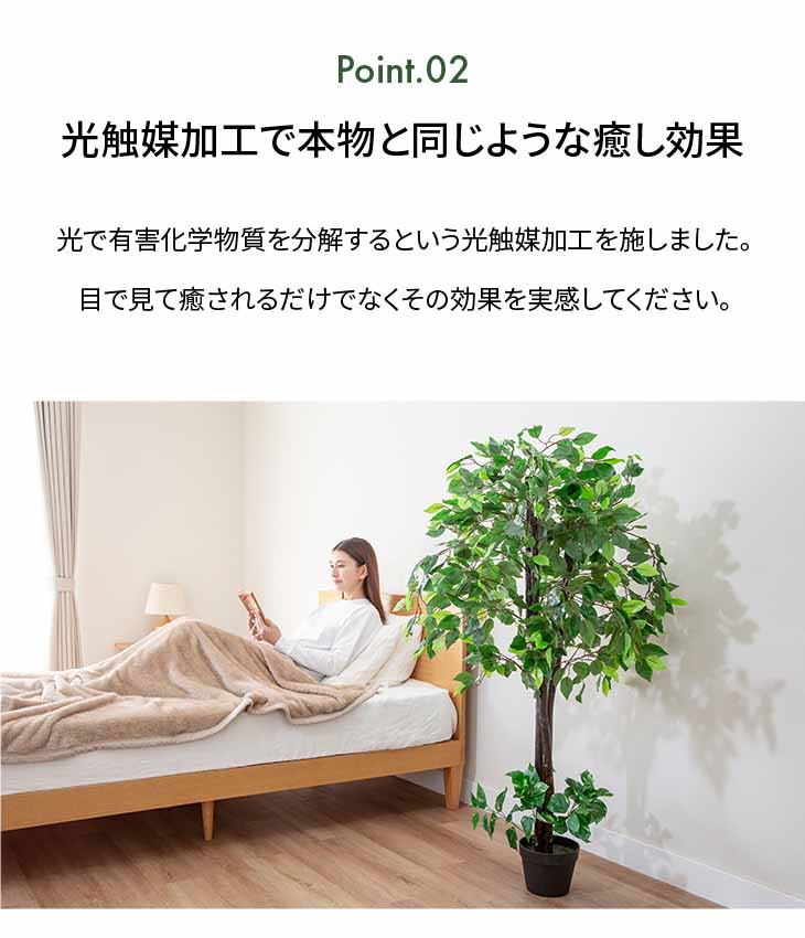 観葉植物 ベンジャミン 2本セット インテリアグリーン フェイク